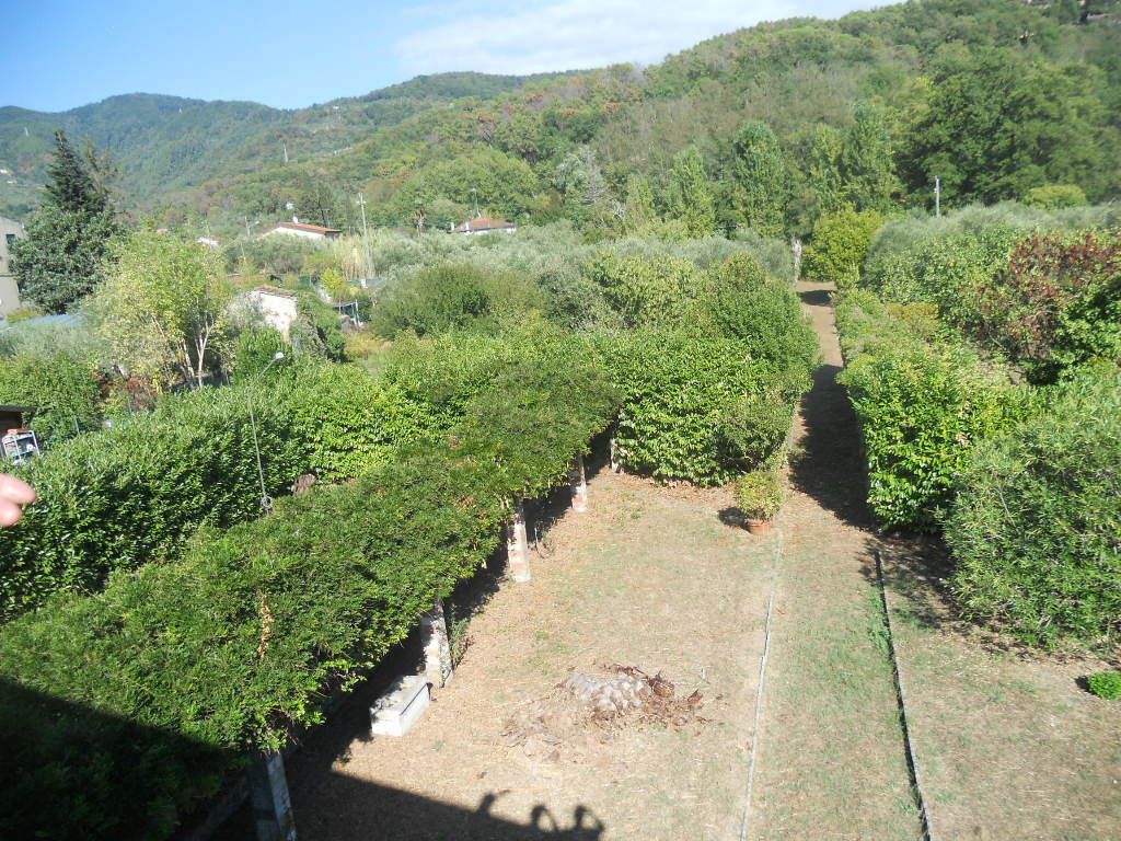 752 - Casolare Castelnuovo Magra