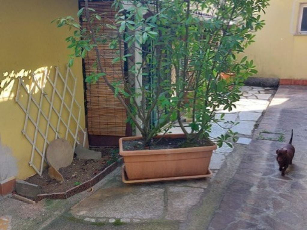 862 - Villa La Spezia