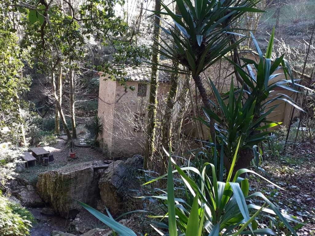 886 - Mulino Camaiore