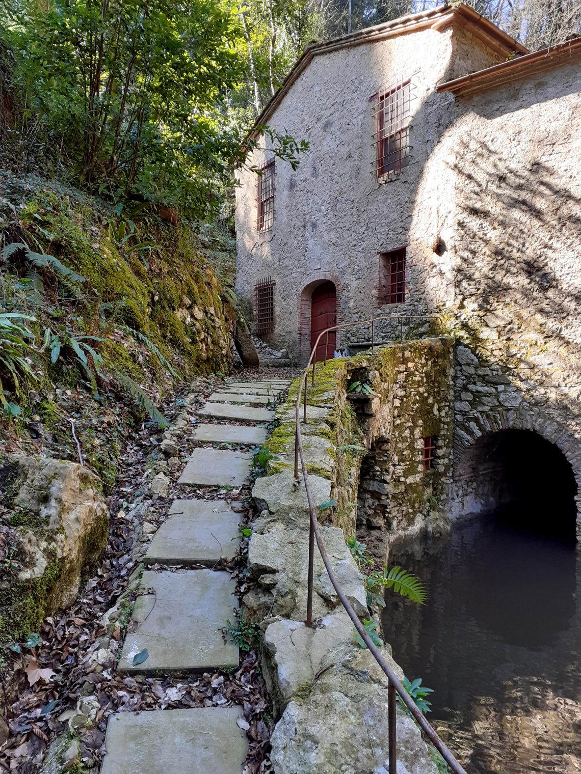 886 - Mulino Camaiore