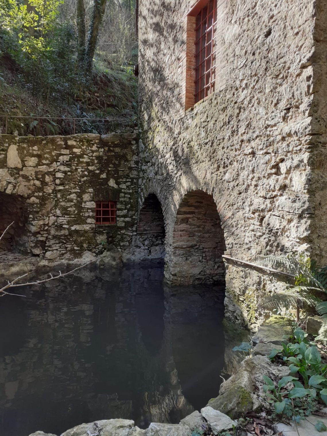 886 - Mulino Camaiore
