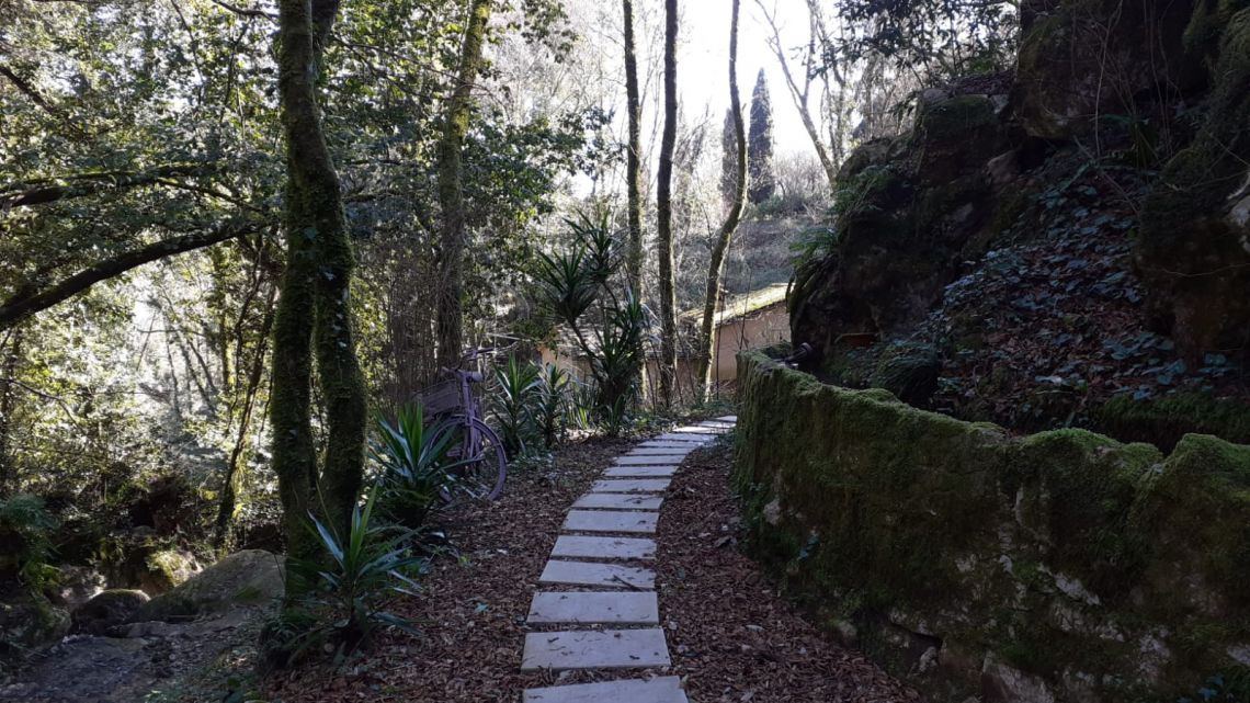 886 - Mulino Camaiore