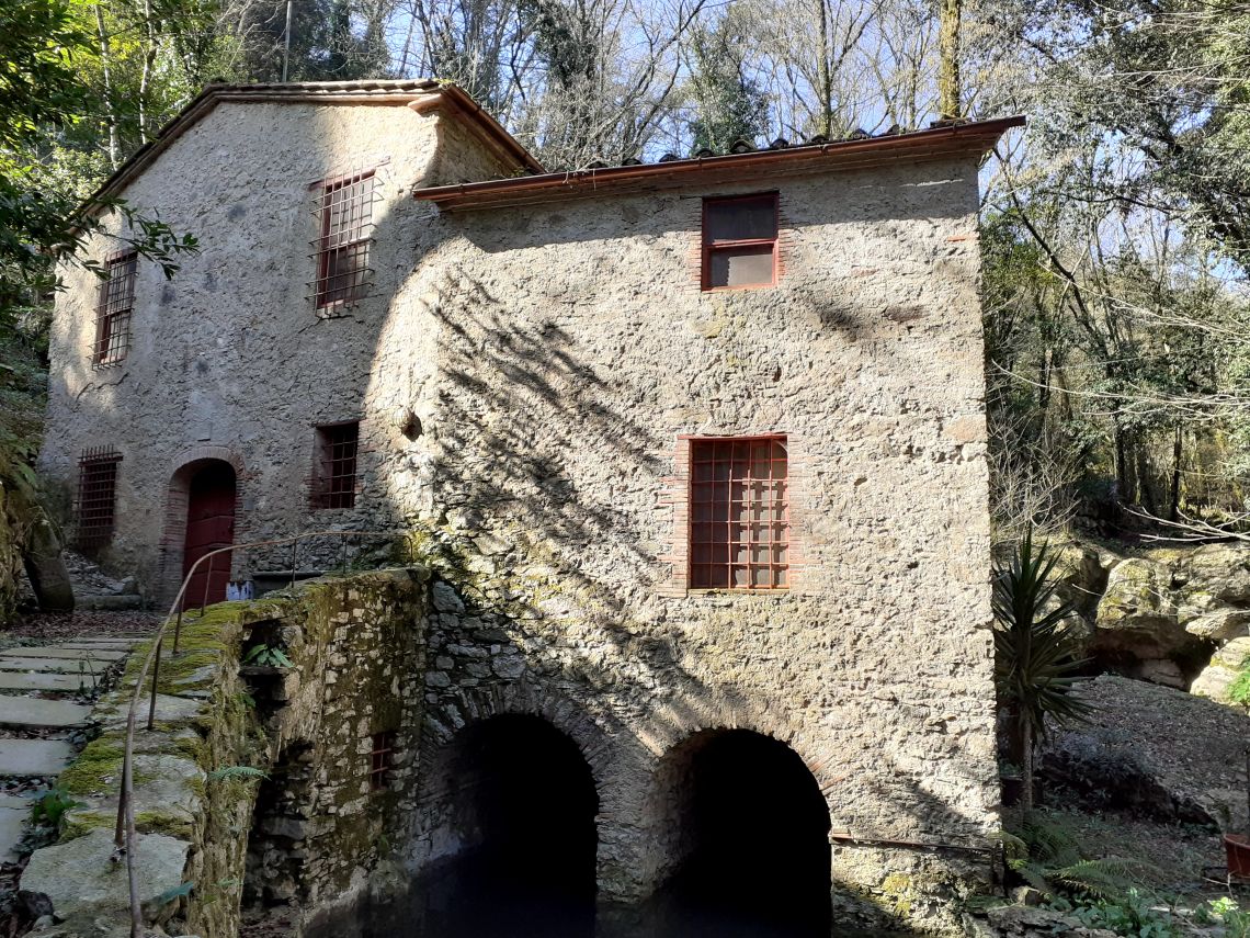 886 - Mulino Camaiore