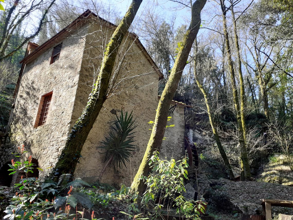 886 - Mulino Camaiore