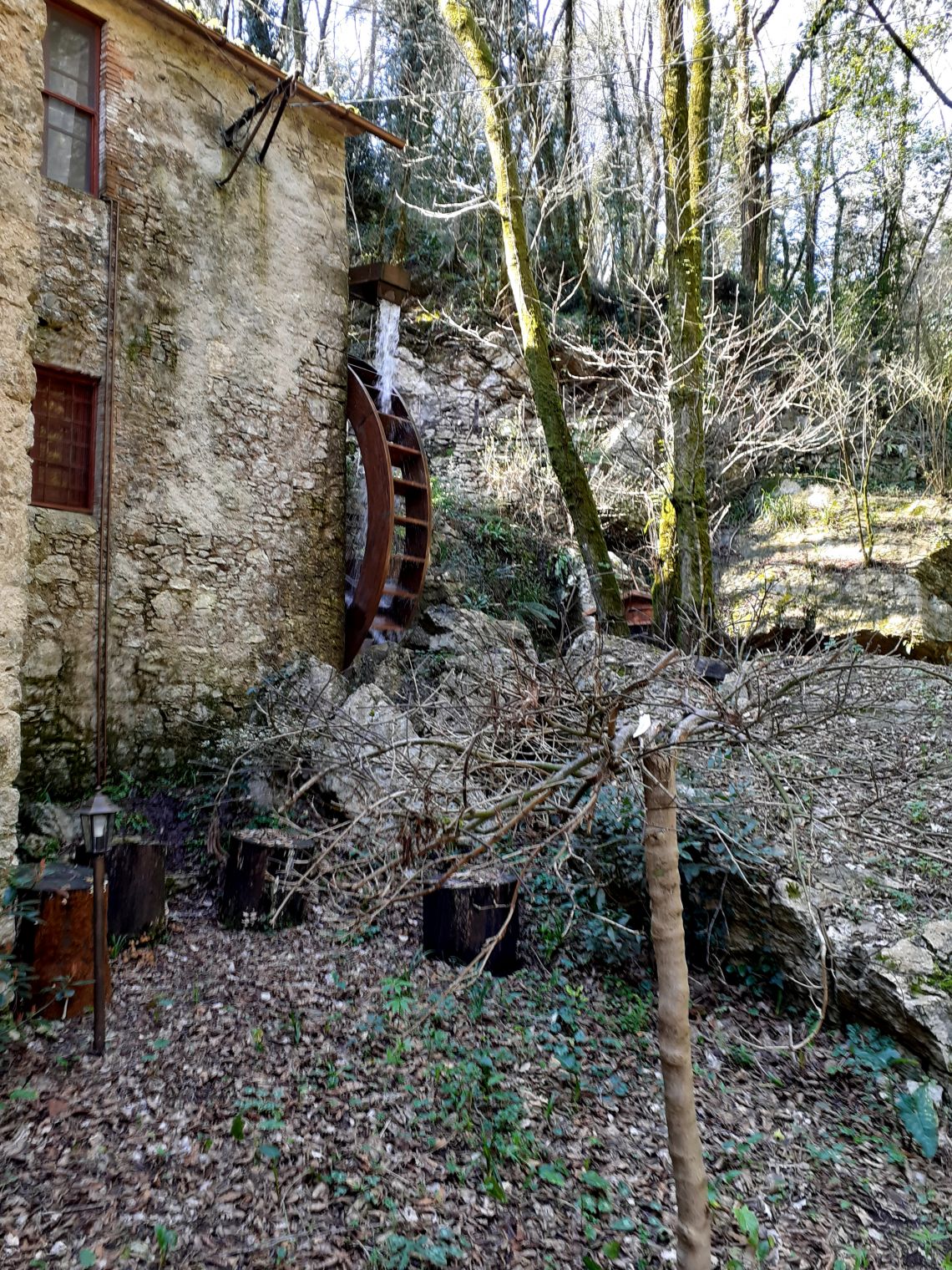 886 - Mulino Camaiore