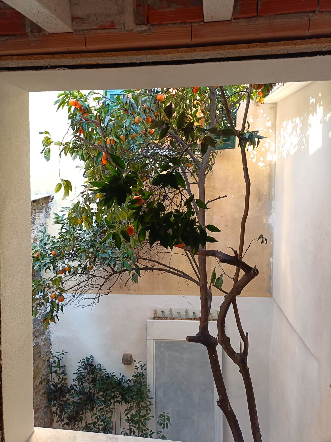 887 - Terratetto Sarzana