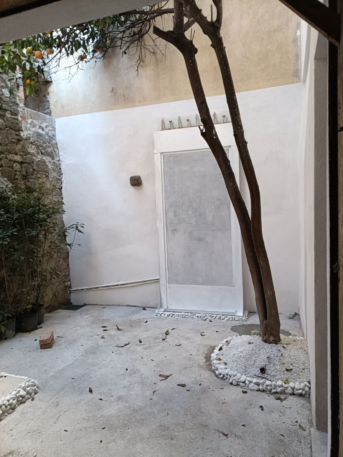 887 - Terratetto Sarzana