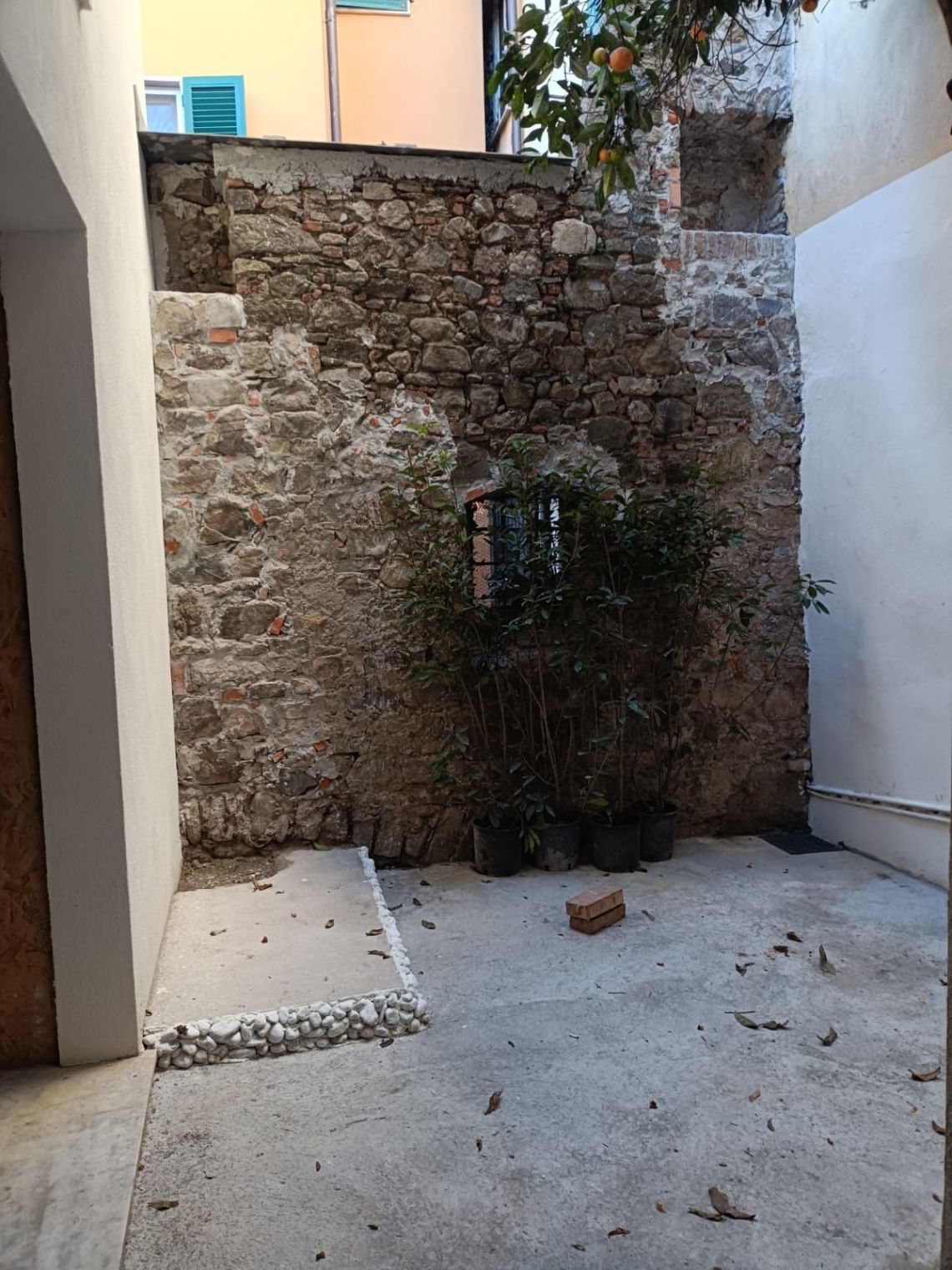 887 - Terratetto Sarzana
