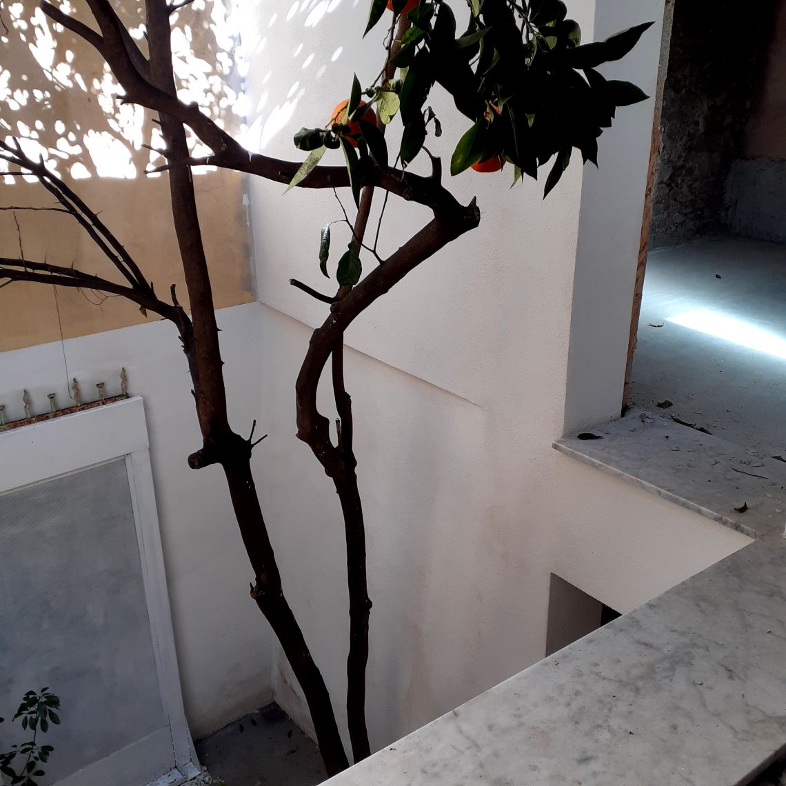 887 - Terratetto Sarzana