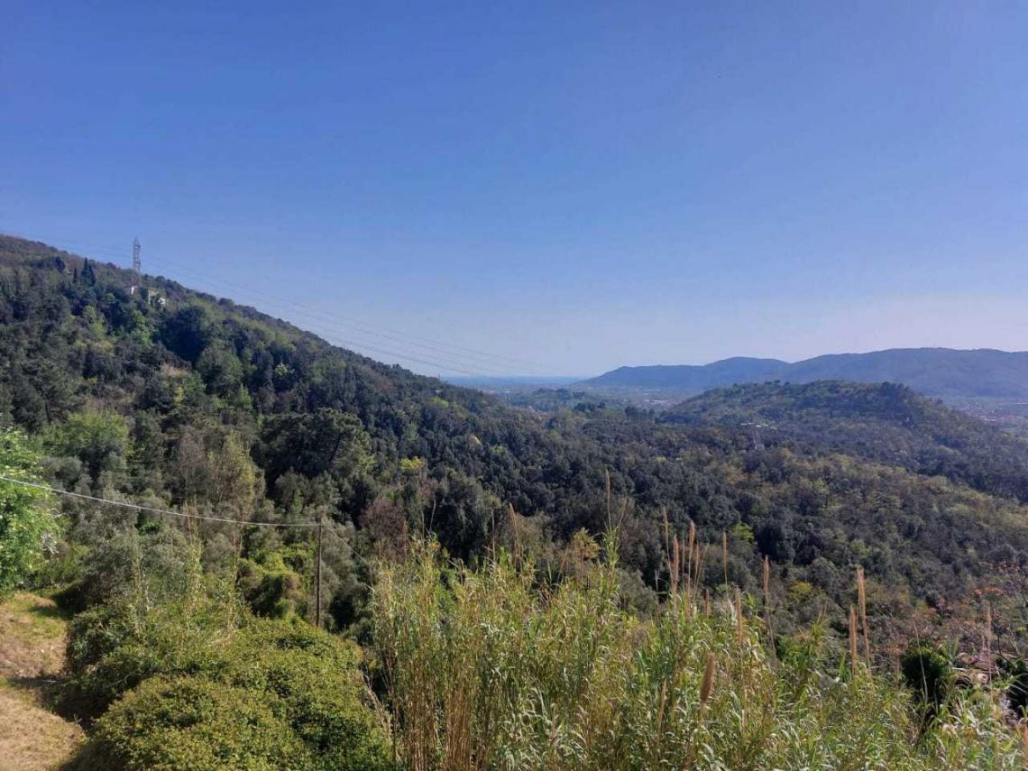 909 - Semindipendente Sarzana