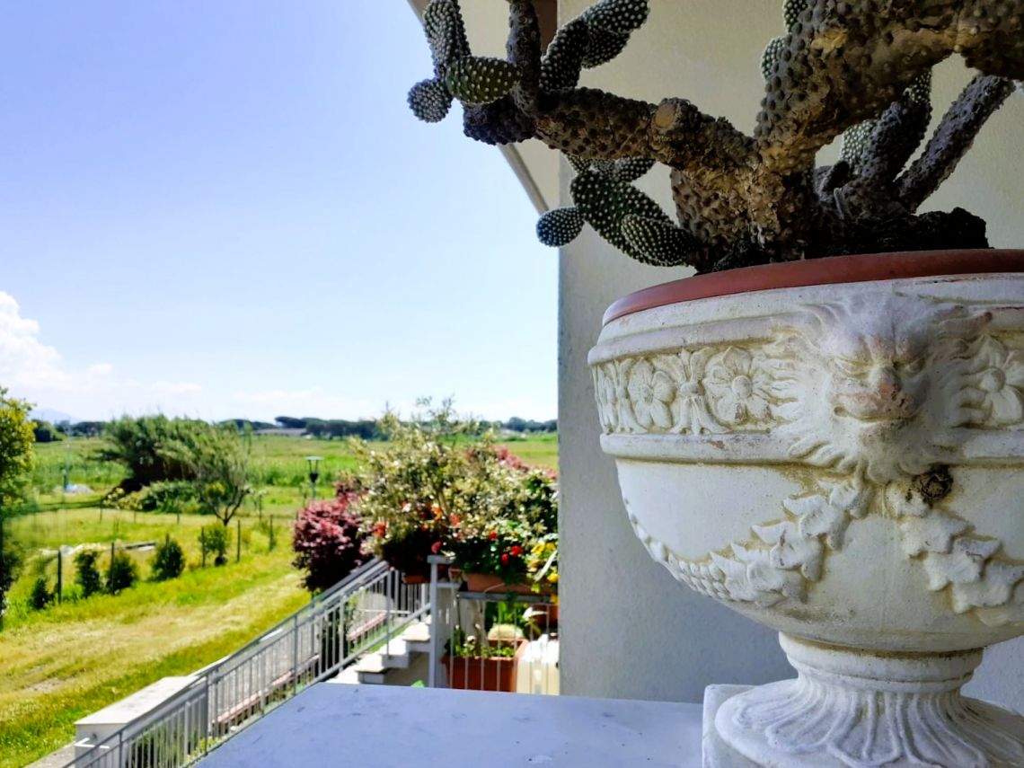 914 - Casa a schiera Luni