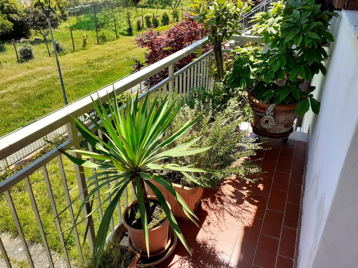 914 - Casa a schiera Luni