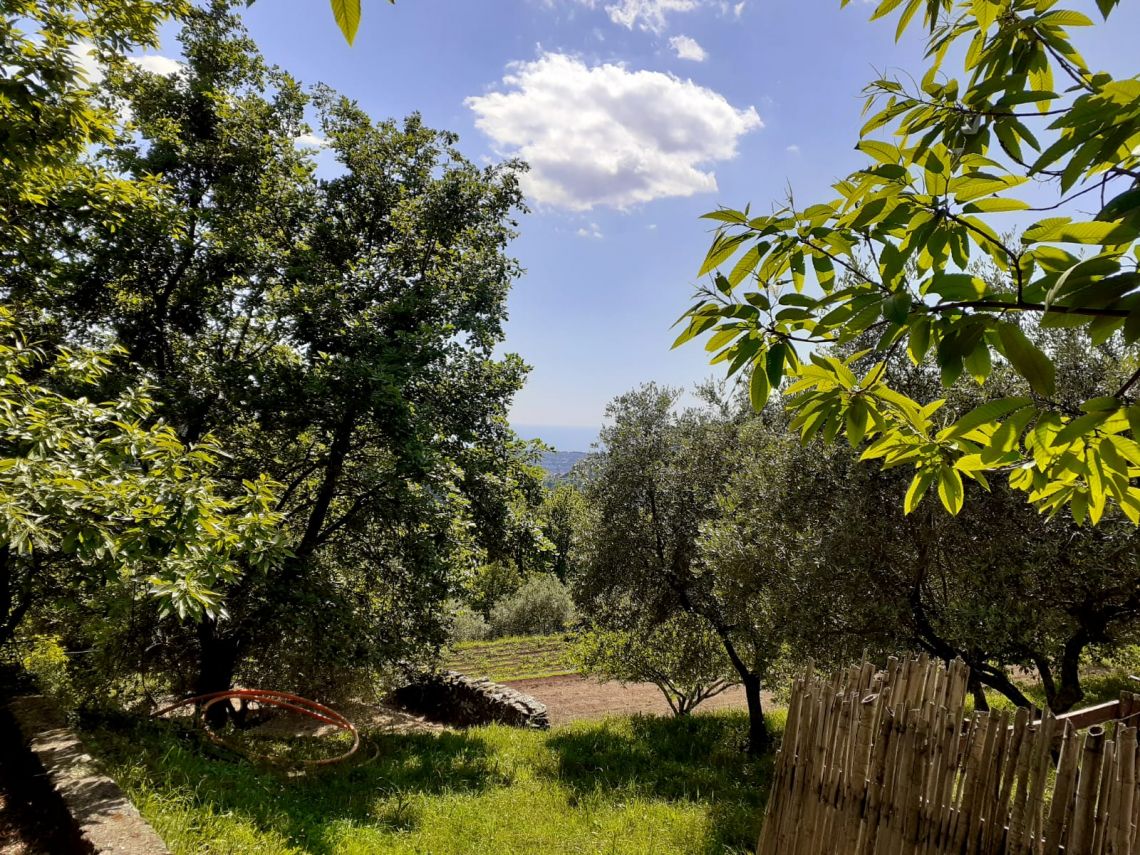 916 - Rustico Seravezza