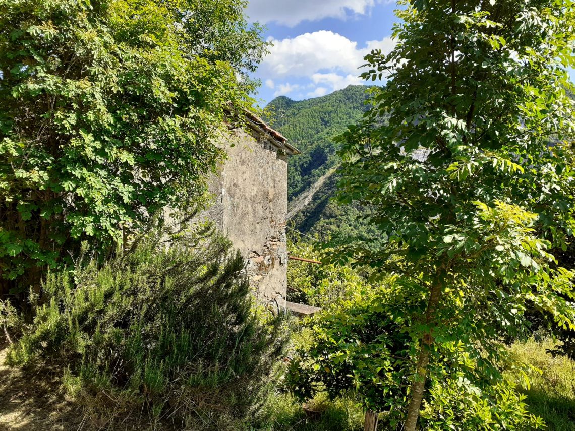 916 - Rustico Seravezza