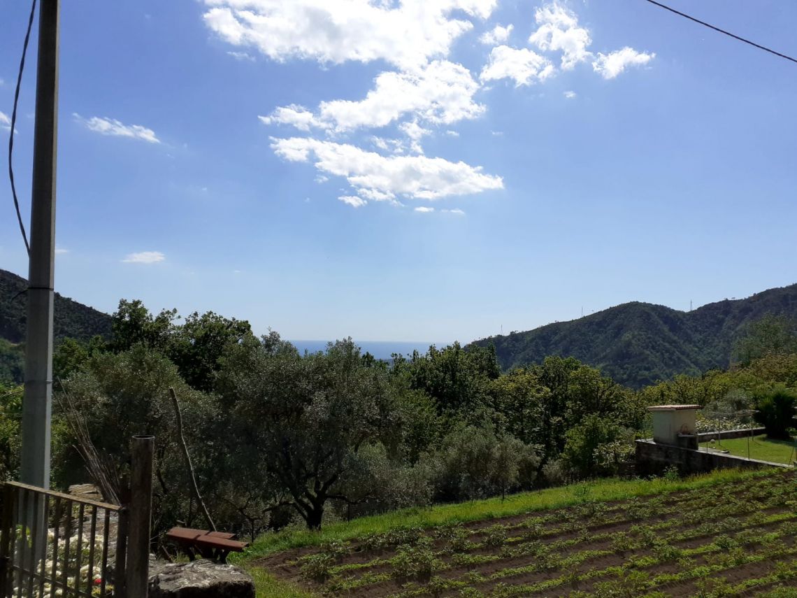 916 - Rustico Seravezza