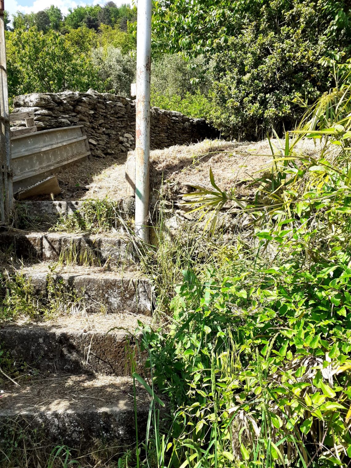 916 - Rustico Seravezza