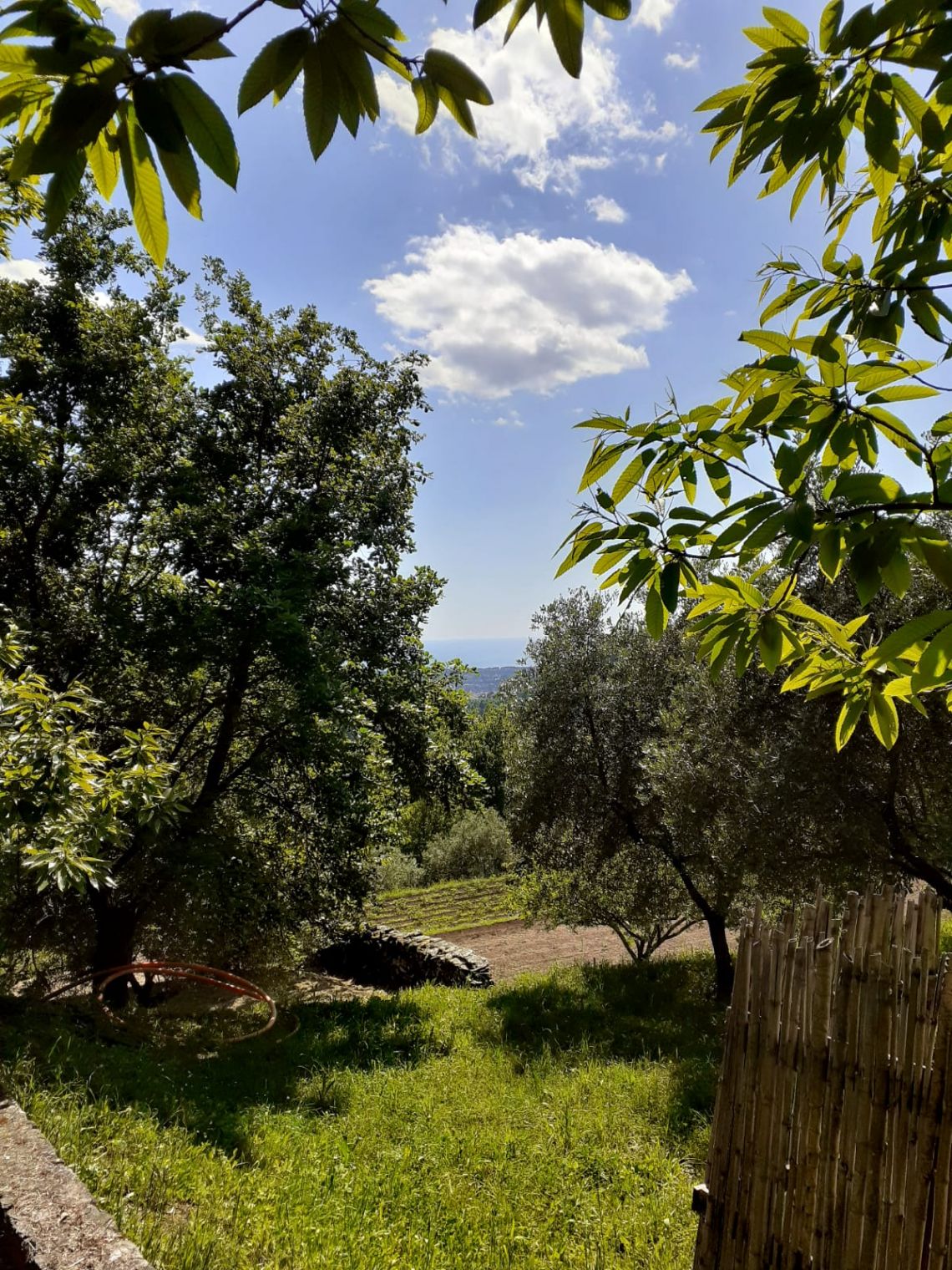 916 - Rustico Seravezza