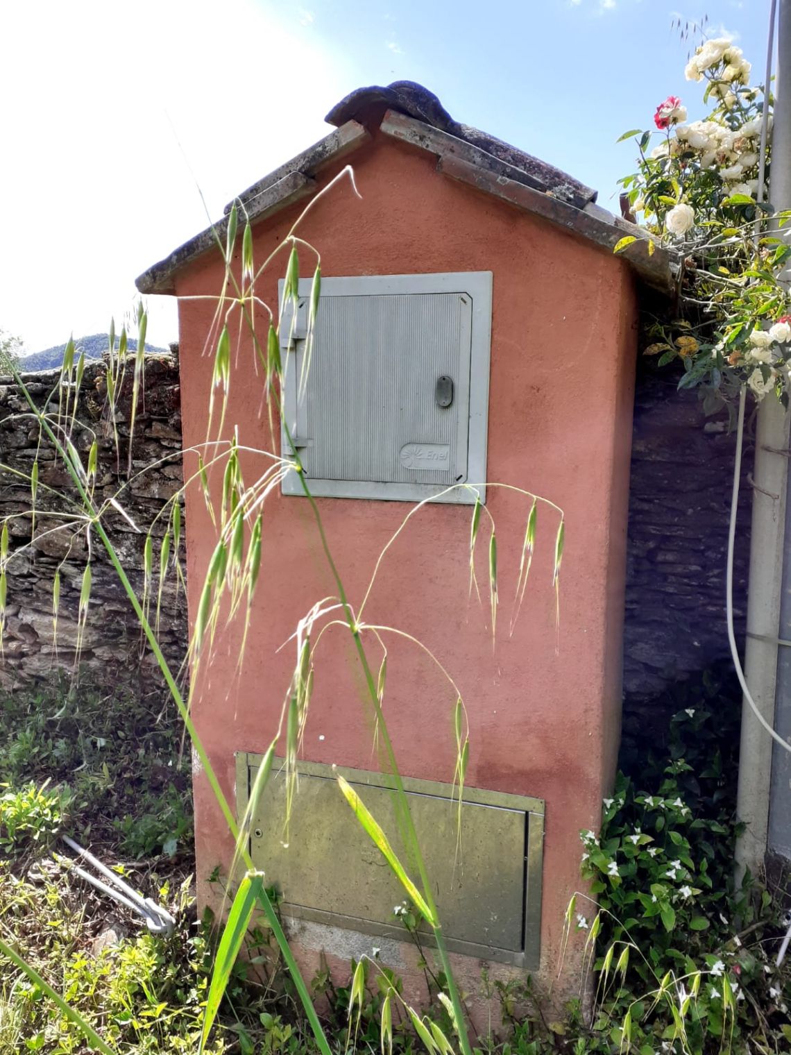 916 - Rustico Seravezza