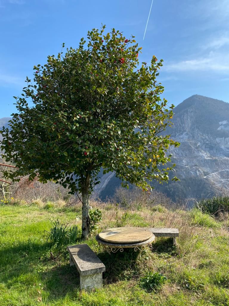 916 - Rustico Seravezza