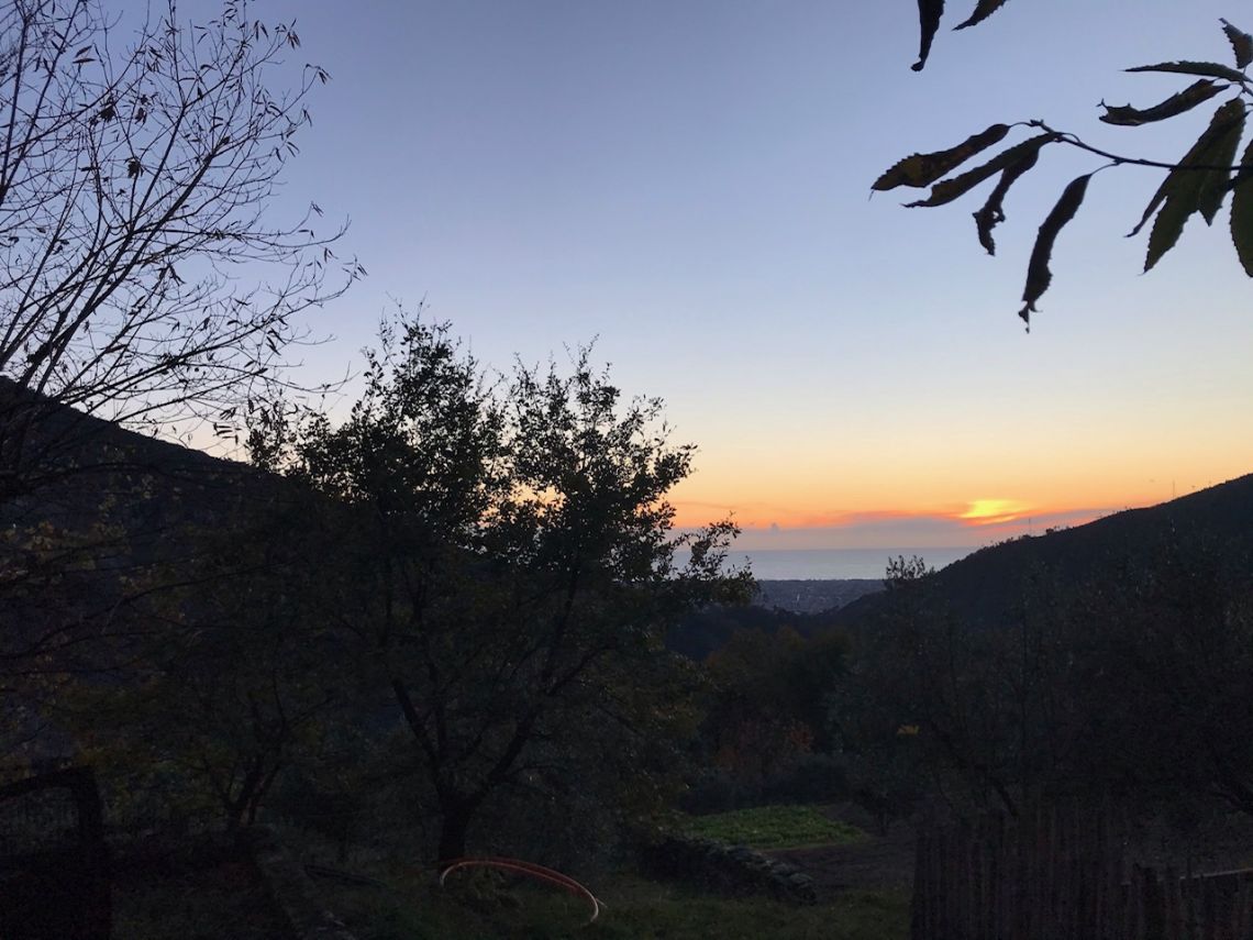 916 - Rustico Seravezza