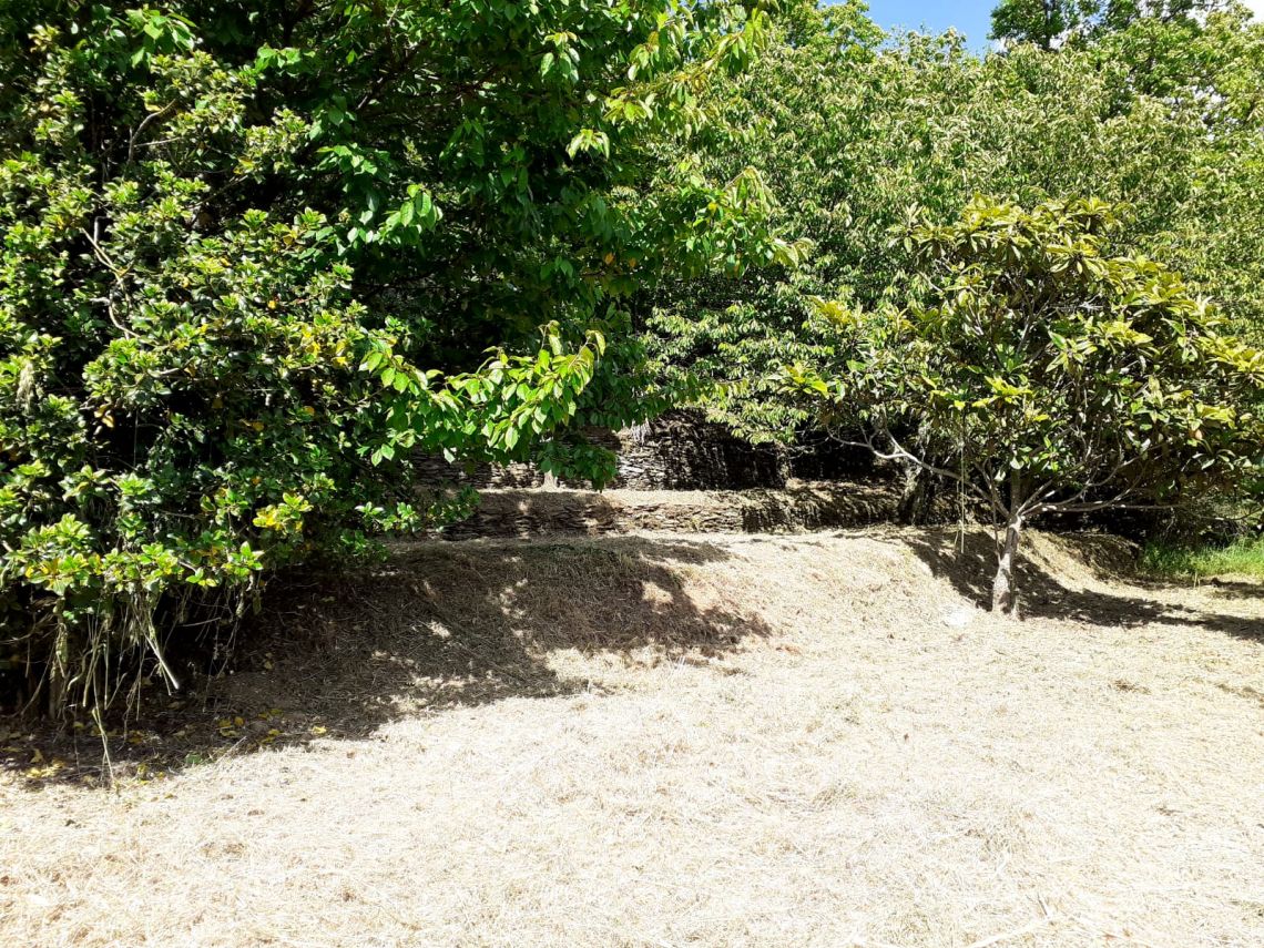 916 - Rustico Seravezza