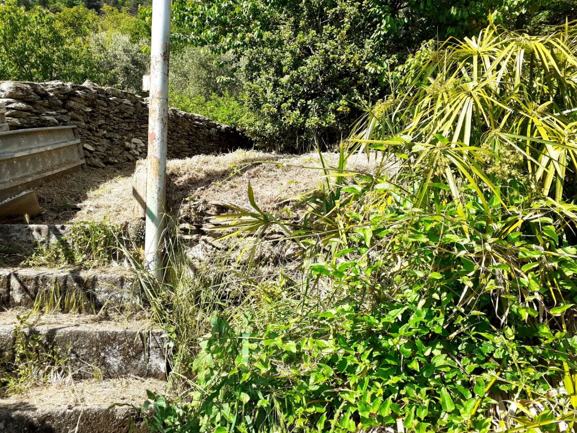 916 - Rustico Seravezza