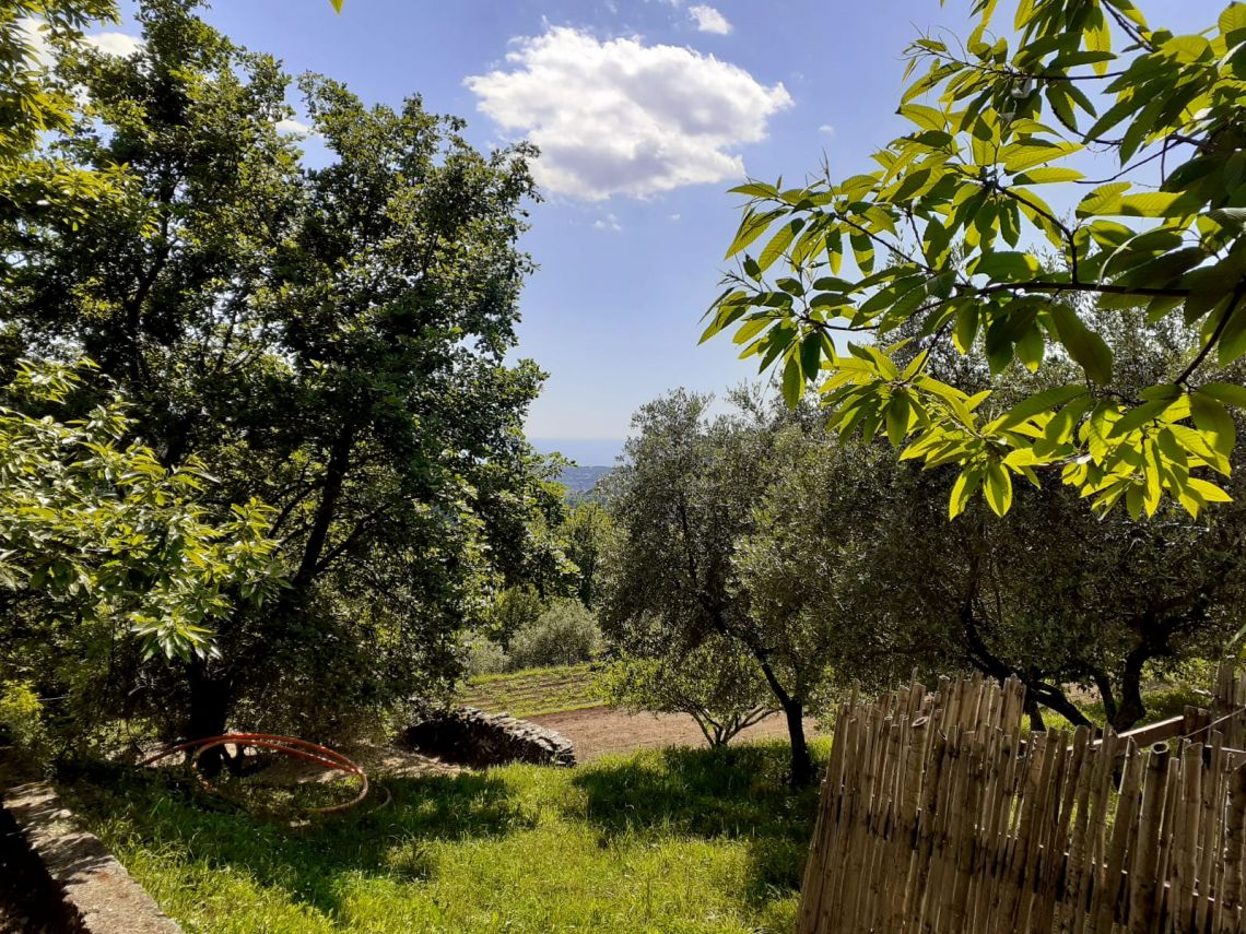 916 - Rustico Seravezza