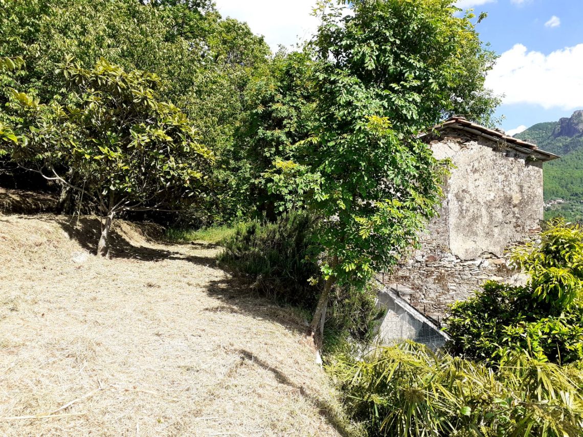 916 - Rustico Seravezza