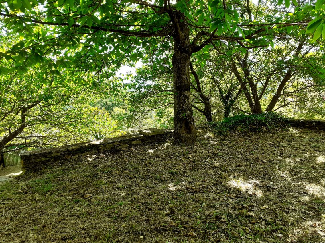 916 - Rustico Seravezza