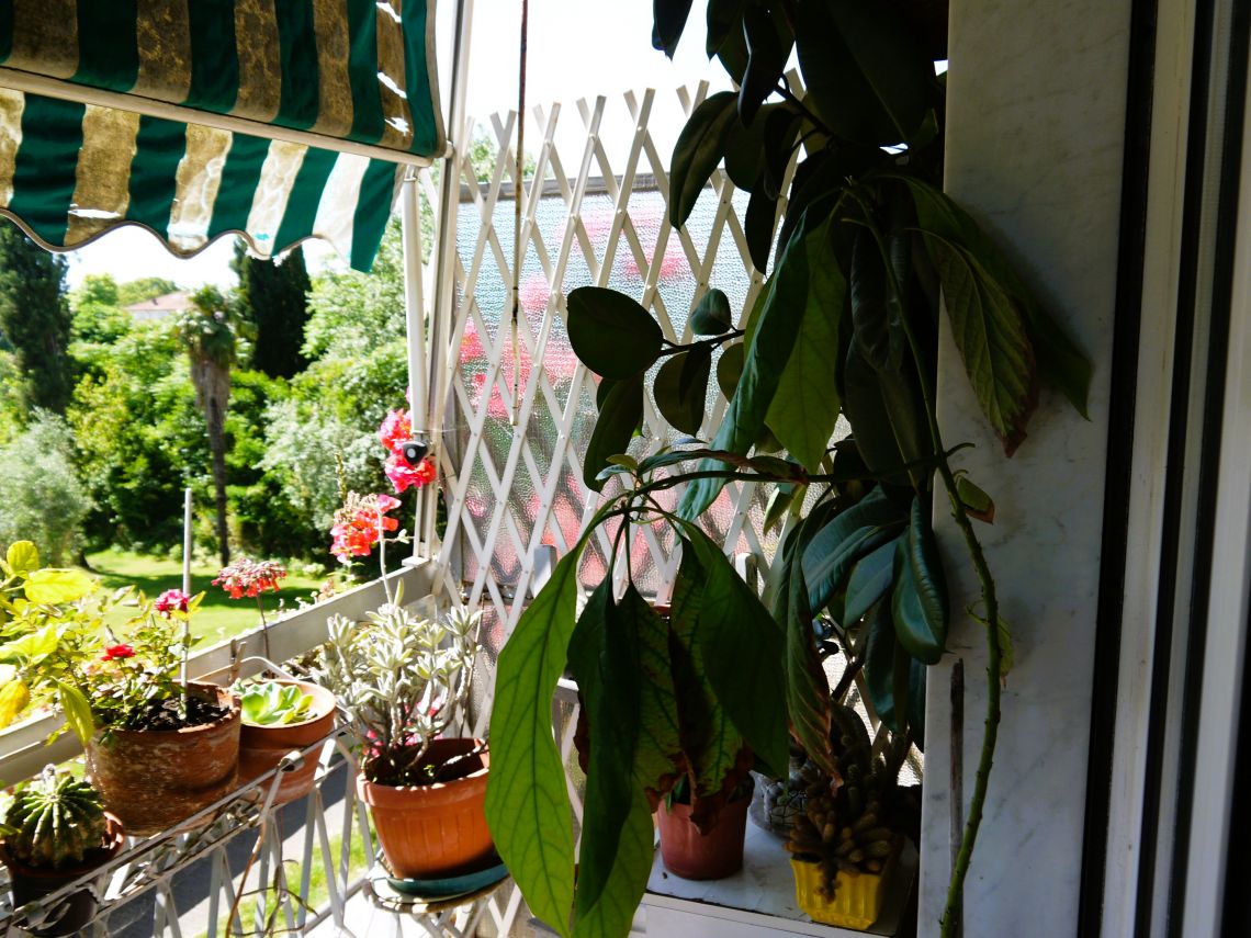 918 - Appartamento Carrara