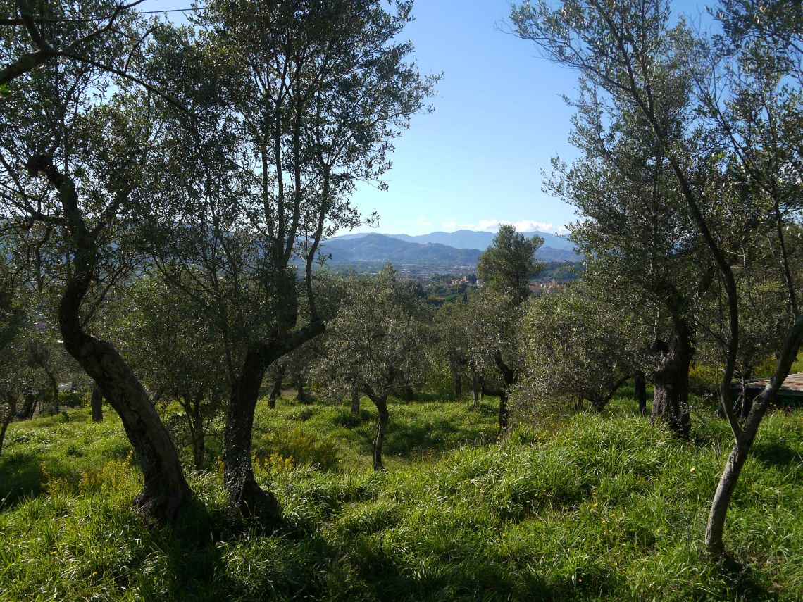 944 - Rustico Castelnuovo Magra