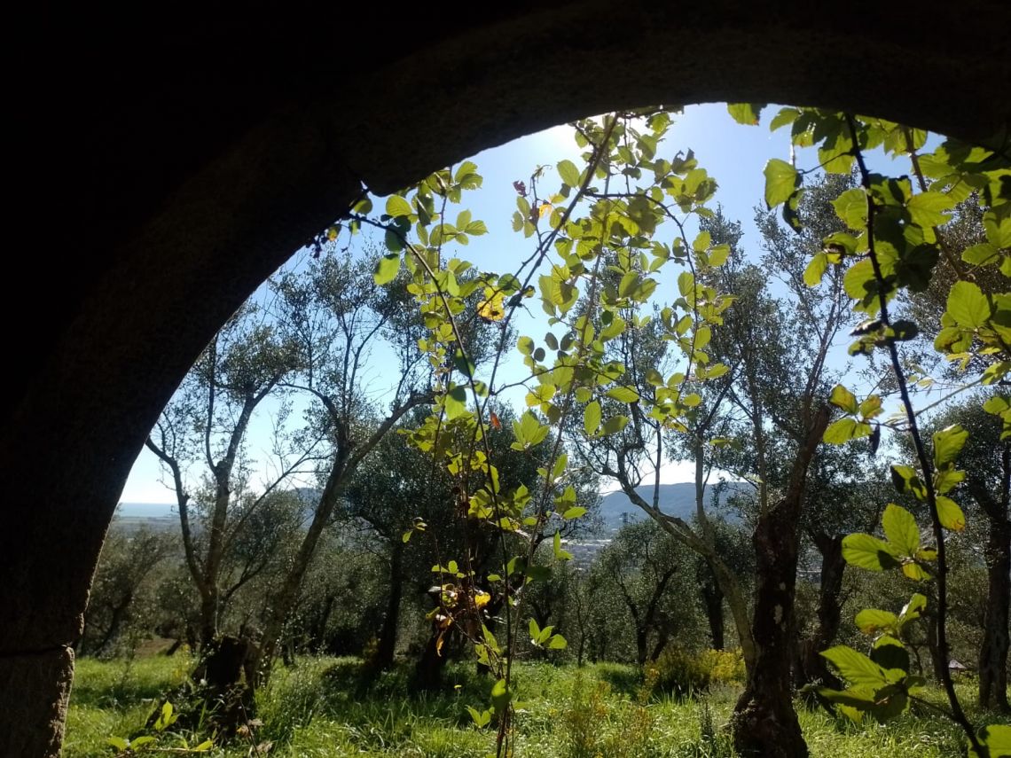 944 - Rustico Castelnuovo Magra