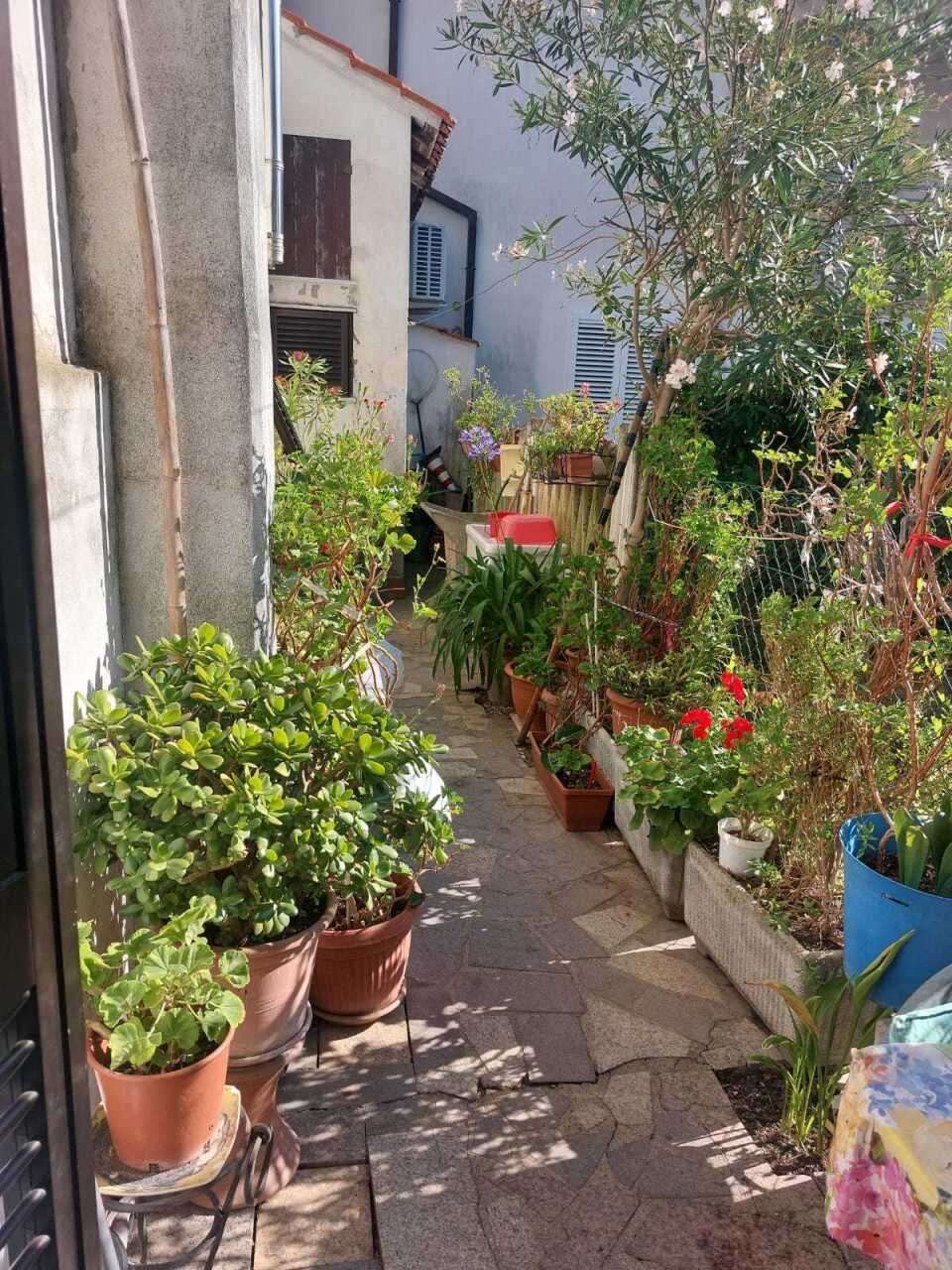 954 - Terratetto Ameglia