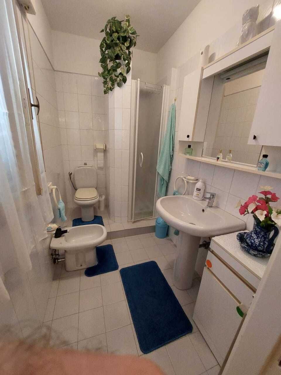 954 - Terratetto Ameglia