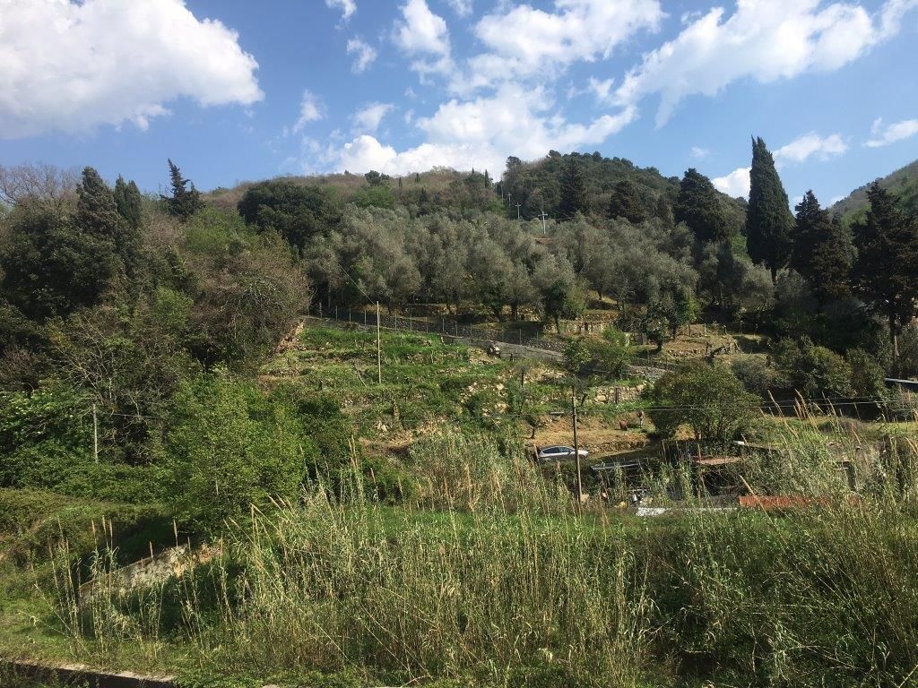 956 - Appartamento Lerici