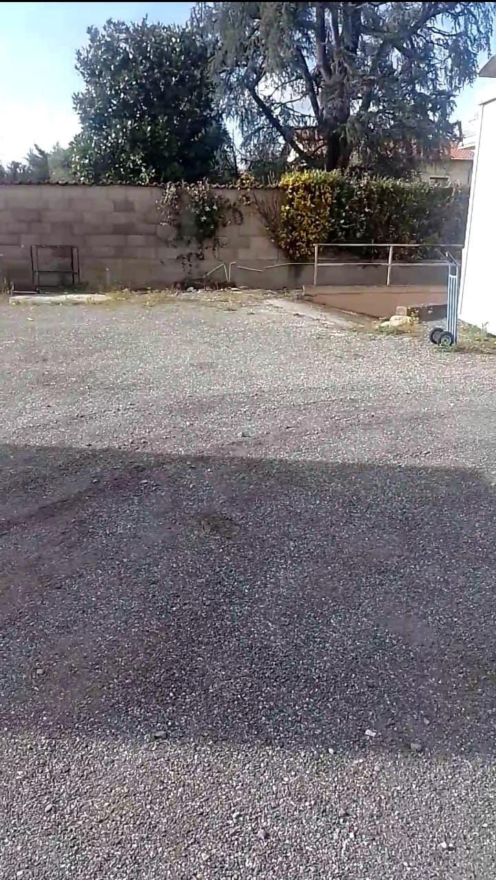 959 - Capannone Industriale Luni