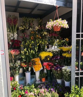 964 - Oggettistica Carrara