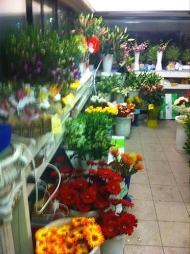 964 - Oggettistica Carrara