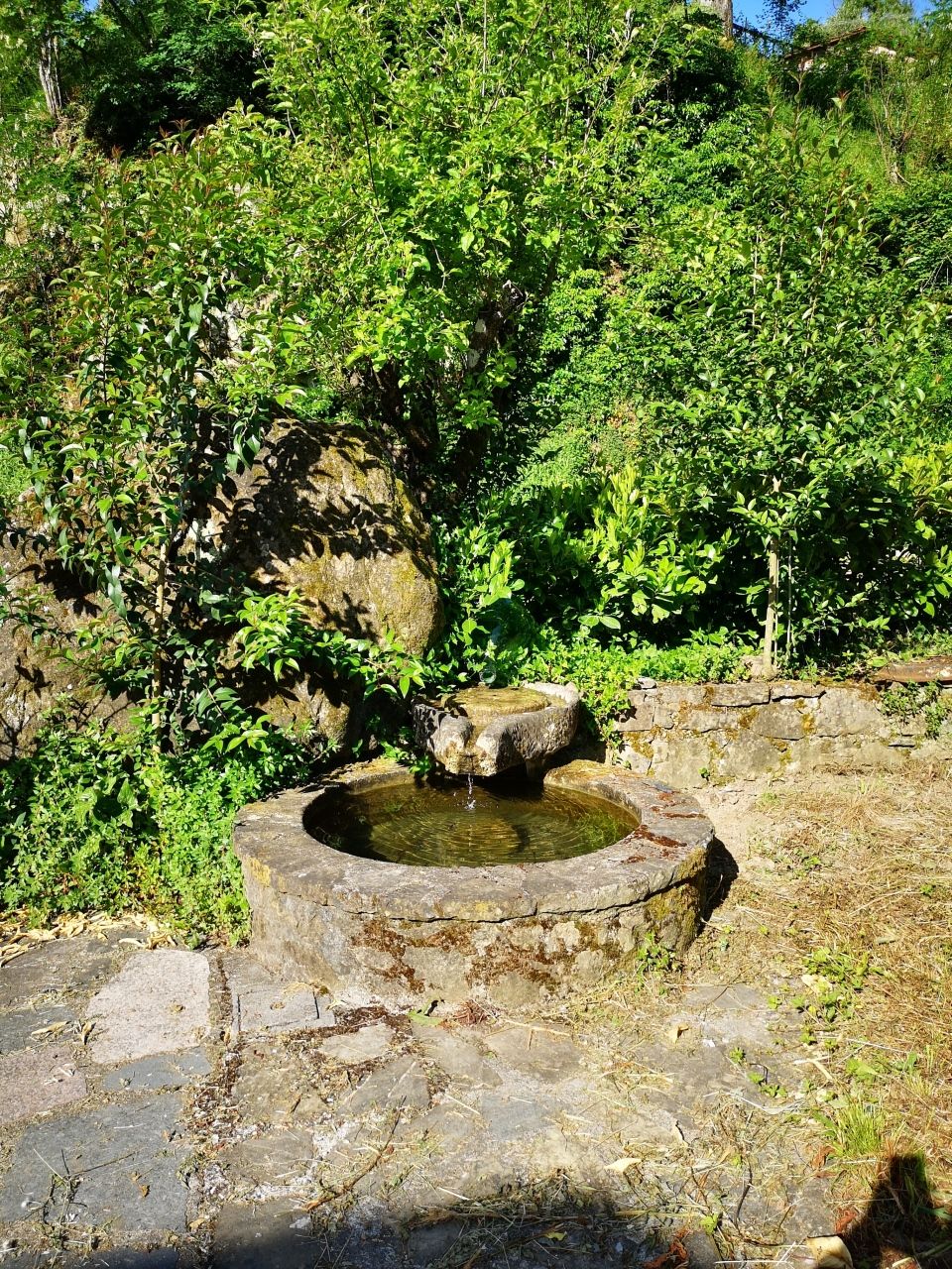 977 - Casolare Castelnuovo Magra