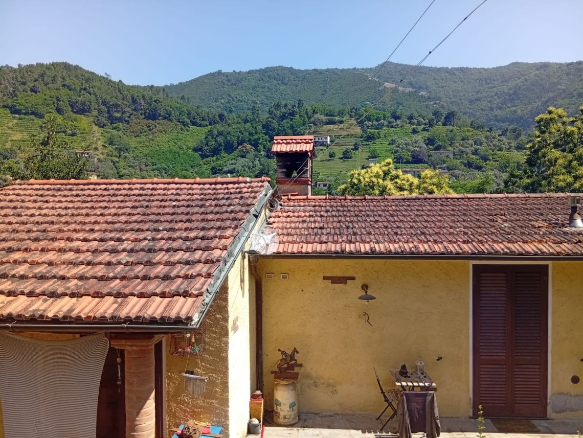 978 - Rustico Pietrasanta