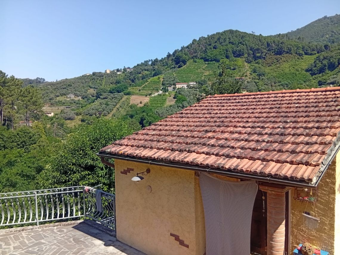 978 - Rustico Pietrasanta
