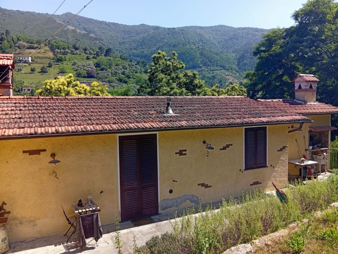 978 - Rustico Pietrasanta