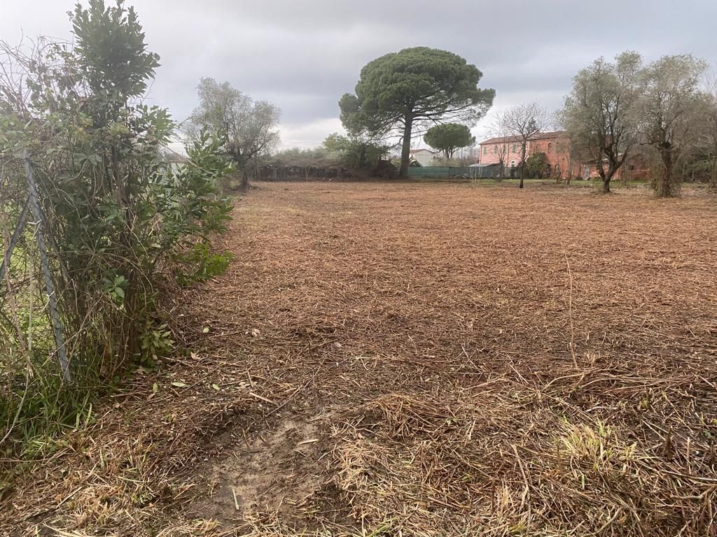 980 - Casolare Castelnuovo Magra