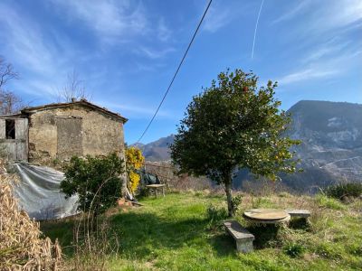 784  - Rustico